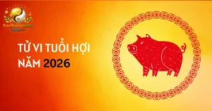 Tổng quan tử vi tuổi Hợi năm 2026 theo Dịch lý