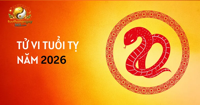 tử vi tuổi Tỵ trong năm Bính Ngọ 2026