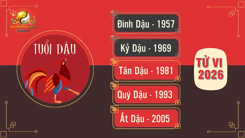 Tử vi tuổi Dậu năm 2026 theo từng năm sinh
