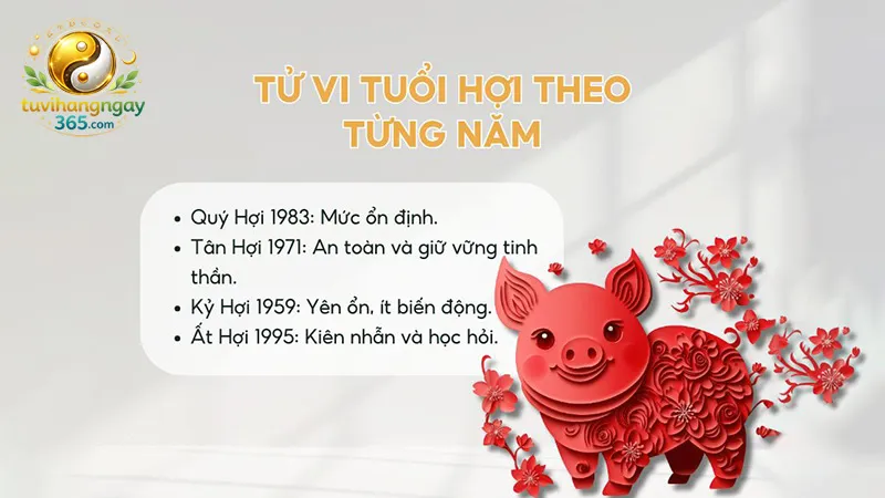 Tử vi tuổi Hợi năm 2026 theo từng năm sinh
