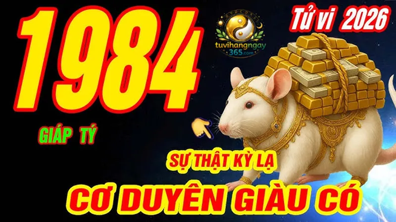 Tử vi tuổi Tý 1984 (Giáp Tý) trong năm 2026