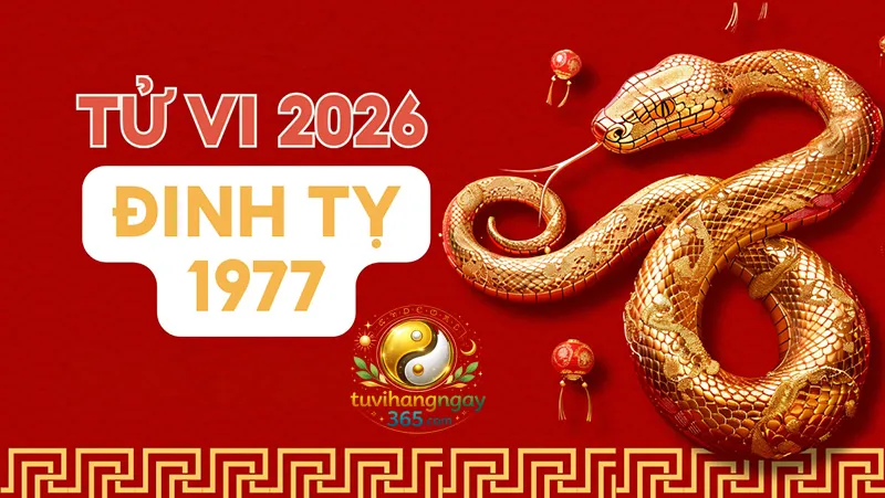 Tử vi Tuổi Tỵ năm 2026 của người sinh năm 1977 – Đinh Tỵ