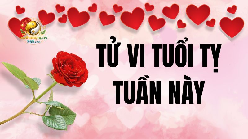 Tử vi tuần 9/2 – 15/2/2026 của tuổi Tỵ tuần này thích hợp để tuổi Tỵ suy nghĩ sâu và điều chỉnh kế hoạch