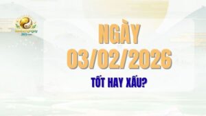 Tử vi ngày 03/02/2026: Đánh giá chi tiết ngày Kỷ Hợi (16 tháng 12 Âm lịch). Tìm hiểu tổng quan, những việc nên làm, nên tránh và giờ hoàng đạo để bạn có một ngày thuận lợi, bình an.