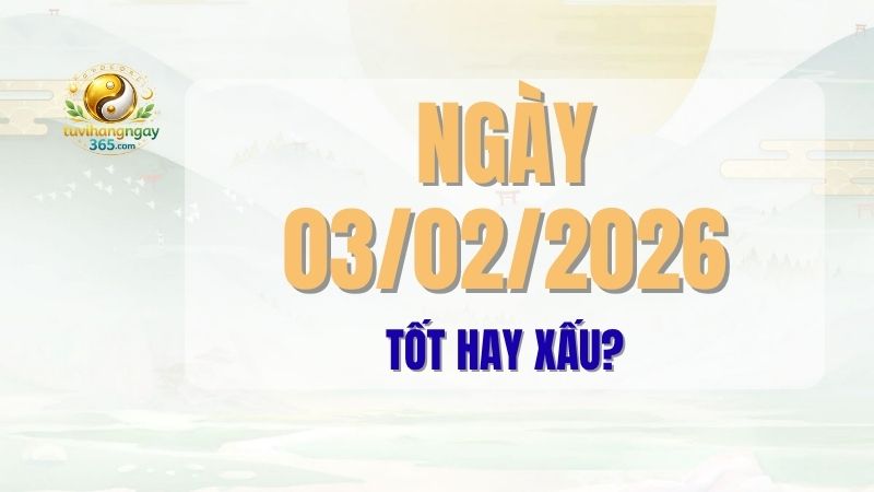 Tử vi ngày 03/02/2026: Đánh giá chi tiết ngày Kỷ Hợi (16 tháng 12 Âm lịch). Tìm hiểu tổng quan, những việc nên làm, nên tránh và giờ hoàng đạo để bạn có một ngày thuận lợi, bình an.
