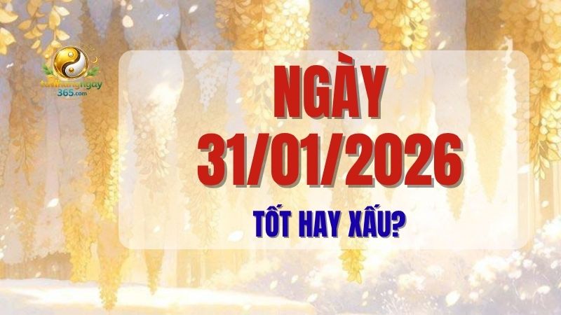 Xem tử vi ngày 31/01/2026 để biết ngày tốt hay xấu, những việc nên làm và nên tránh. Luận giải chi tiết giúp bạn lên kế hoạch hiệu quả, đón tài lộc, tránh rủi ro, tối ưu hóa mọi hoạt động trong ngày.