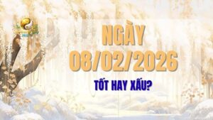 Phân tích chi tiết về ngày 08/02/2026 (Kỷ Tỵ) theo tử vi hàng ngày. Tìm hiểu ngày này tốt hay xấu, những việc nên làm và nên tránh, cùng các giờ hoàng đạo để lên kế hoạch một cách khôn ngoan và hạn chế rủi ro.