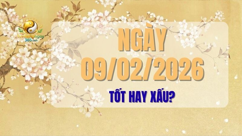 Tìm hiểu sâu về năng lượng ngày 09/02/2026 (Âm lịch 22/12/Ất Tỵ) qua góc nhìn tử vi.