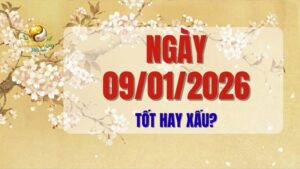 Phân tích tử vi chi tiết ngày 09/01/2026 (Đinh Hợi): đánh giá mức độ tốt xấu, những việc nên làm và nên tránh, giờ hoàng đạo cùng lời khuyên hữu ích để bạn có một ngày thuận lợi, bình an.