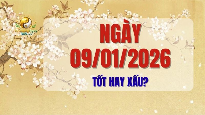 Phân tích tử vi chi tiết ngày 09/01/2026 (Đinh Hợi): đánh giá mức độ tốt xấu, những việc nên làm và nên tránh, giờ hoàng đạo cùng lời khuyên hữu ích để bạn có một ngày thuận lợi, bình an.