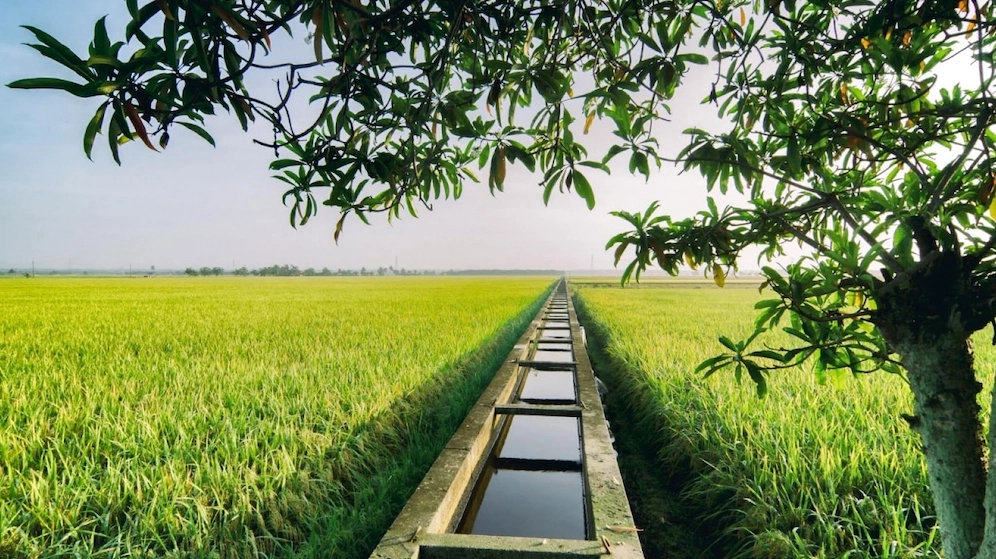 1 công đất là bao nhiêu m2