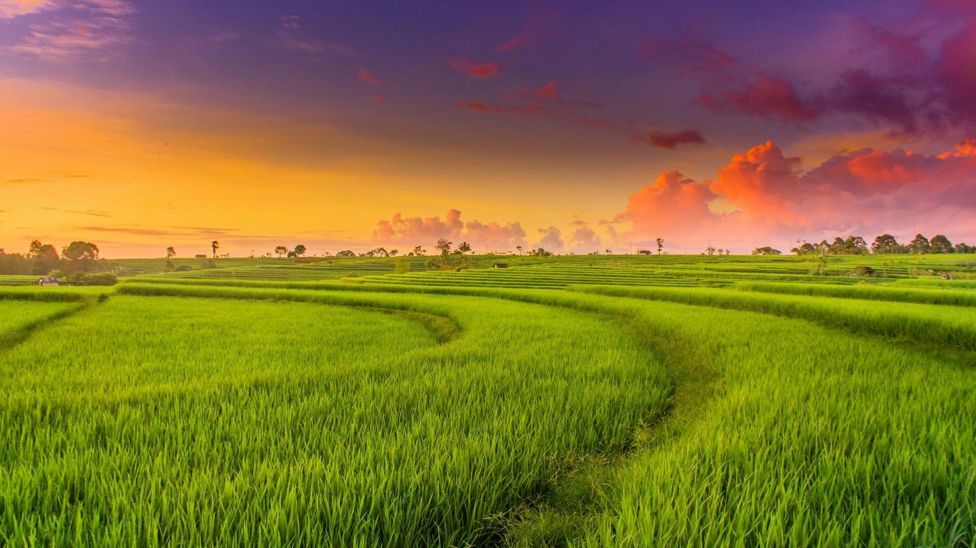 1 mẫu bằng bao nhiêu sào