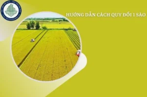 1-sao-la-bao-nhieu-m2-giai-ma-don-vi-dat-pho-bien-theo-vung-_429