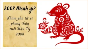 2008-menh-gi-hop-mau-gi-giai-ma-phong-thuy-tuoi-mau-ty-2026_258