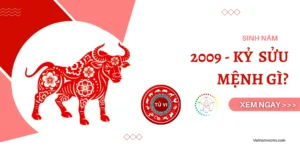 2009-la-nam-con-gi-giai-ma-chi-tiet-van-menh-tuoi-ky-suu-tu-_505