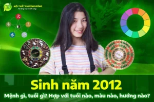 2012-la-nam-con-gi-giai-ma-van-menh-than-bi-cua-nguoi-tuoi-n_442
