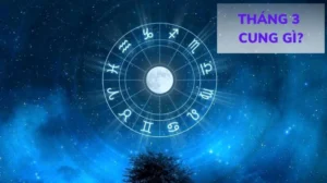 213-cung-gi-kham-pha-bi-mat-cua-song-ngu-bach-duong-cuc-chi-_799