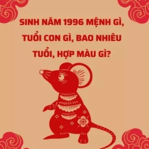 binh-ty-1996-tuoi-con-gi-bao-nhieu-tuoi-2026-kham-pha-van-me_259