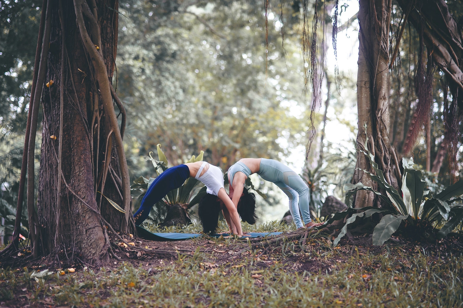 Bộ ảnh Yoga với 3 thiếu nữ chụp tại công viên Tao đàn