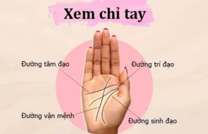 cach-xem-chi-tay-co-ban-huong-dan-chi-tiet-duong-cong-danh-t_770