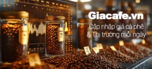 cap-nhat-gia-ca-phe-hom-nay-dak-nong-20042026-phan-tich-sau-_665