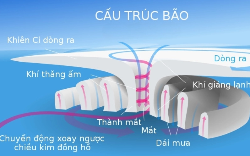Cấu trúc bão gồm tâm bão, thành mắt và mây đối lưu sinh năng lượng