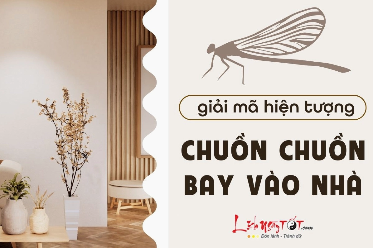 Chuồn chuồn bay vào nhà mang ý nghĩa gì?