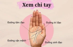 con-gai-xem-chi-tay-ben-nao-huong-dan-cach-xem-chi-tay-nu-ch_316