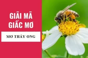 con-ong-so-bao-nhieu-giai-ma-giac-mo-ve-ong-diem-bao-nam-202_374