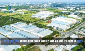 cum-cong-nghiep-vua-va-nho-tu-liem-tiem-nang-vuot-troi-va-hu_840