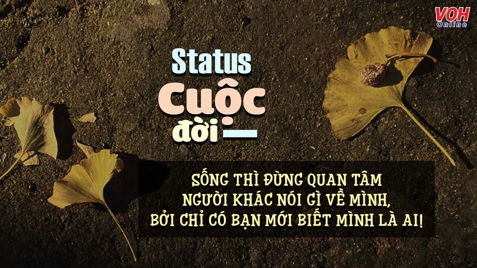 Cuộc đời nhiều sóng gió và áp lực