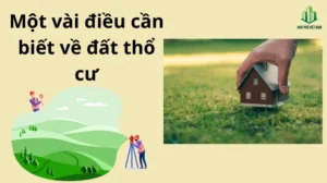 dat-tho-cu-la-gi-giai-ma-toan-bo-quy-dinh-phap-ly-quan-trong_357