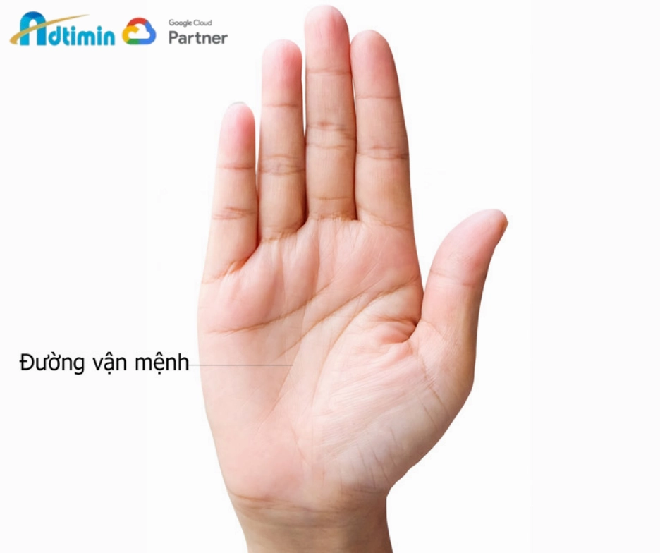 Đường định mệnh