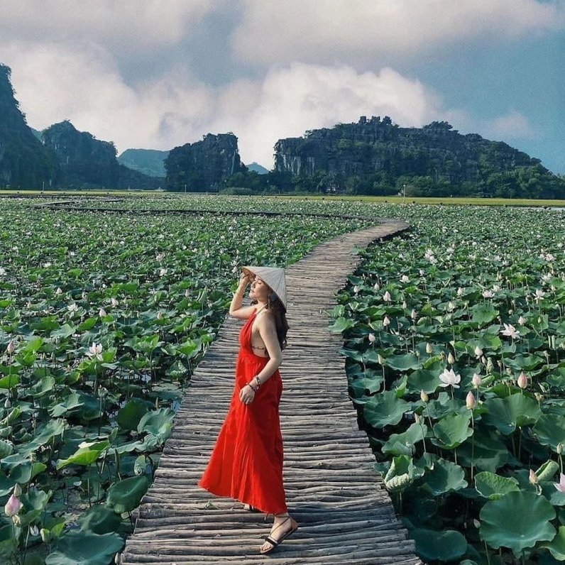 Gái xinh và vẻ đẹp tinh khôi của sen