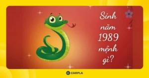 giai-ma-1989-tuoi-con-gi-menh-gi-sinh-nam-1989-bao-nhieu-tuo_494