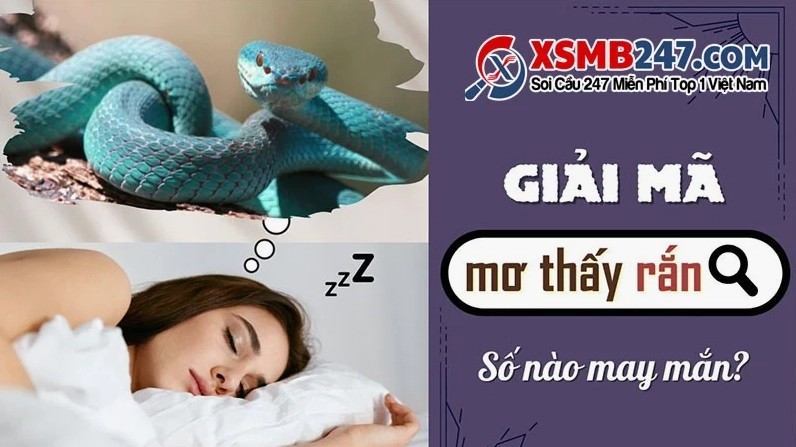 giai-ma-giac-mo-ve-ran.jpg