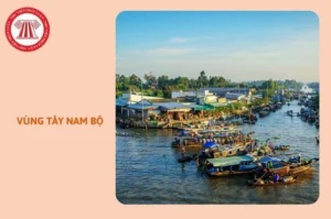 giai-ma-mien-tay-tay-nam-bo-gom-nhung-tinh-nao-tat-tan-tat-1_538