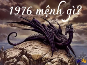 giai-ma-tuoi-50-sinh-nam-1976-nam-nay-bao-nhieu-tuoi-va-van-_234