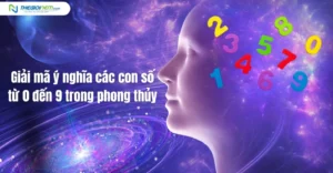 giai-ma-y-nghia-cac-con-so-kham-pha-van-menh-tu-0-den-99-tro_368