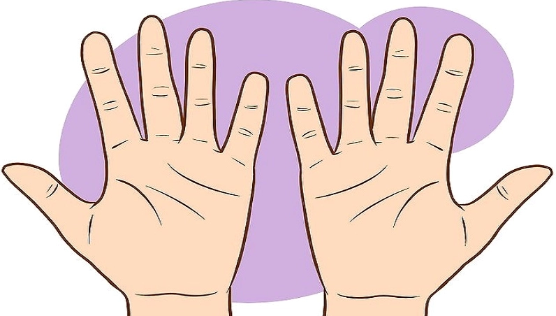 Gợi ý cách xem chỉ tay nữ đơn giản, dễ hiểu