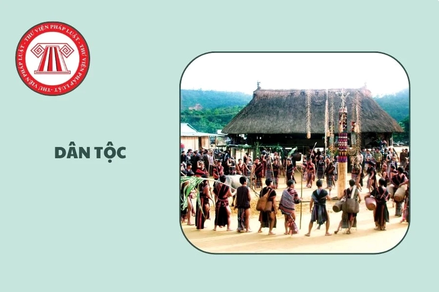 Hỏi đáp Pháp luật