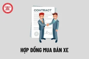 hop-dong-mua-ban-xe-may-2026-mau-chuan-luu-y-huong-dan-ky-ke_355