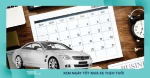 huong-dan-chi-tiet-cach-xem-ngay-dep-mua-xe-hop-phong-thuy-2_244