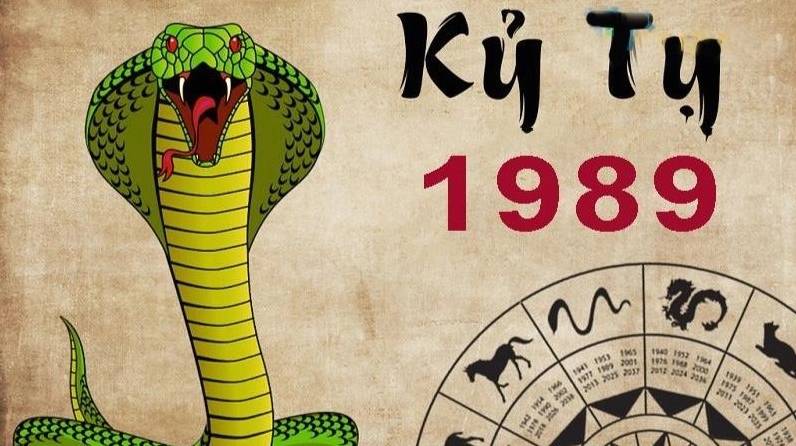 Kỷ Tỵ sinh năm 1989 mệnh gì?