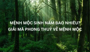 menh-moc-sinh-nam-nao-2026-giai-ma-van-menh-tinh-cach-chi-ti_447