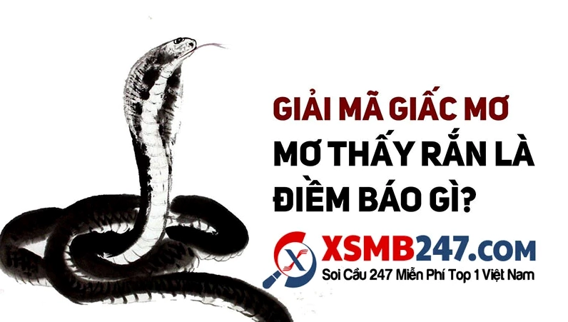 mo-thay-ran-nho.jpg