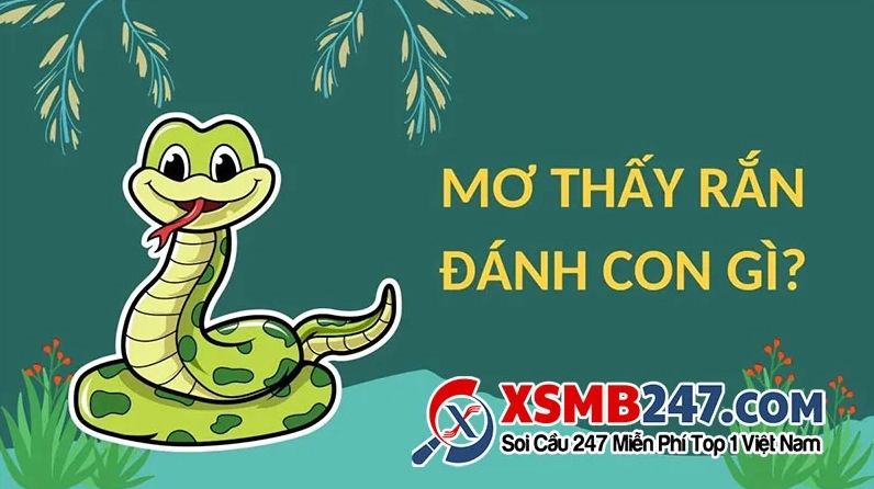 mo-thay-ran.jpg
