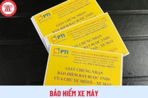 mua-bao-hiem-xe-may-o-dau-tien-loi-an-toan-nhat-2026-huong-d_533