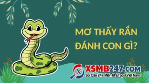 nam-mo-thay-nhieu-ran-danh-de-con-gi-giai-ma-toan-tap-2026_890