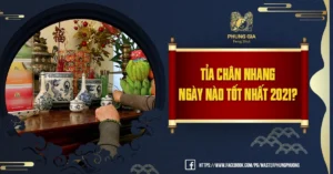 ngay-dep-tia-chan-nhang-nam-2026-ruoc-tai-loc-binh-an-cho-gi_222